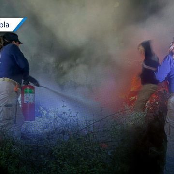 Investigan origen de incendio forestal en el cerro de Cristo Rey en Tochtepec