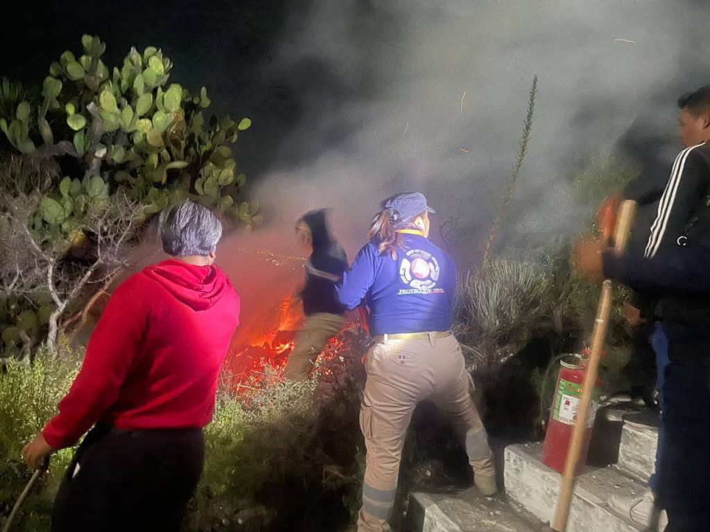 Investigan origen de incendio forestal en el cerro de Cristo Rey en Tochtepec 4