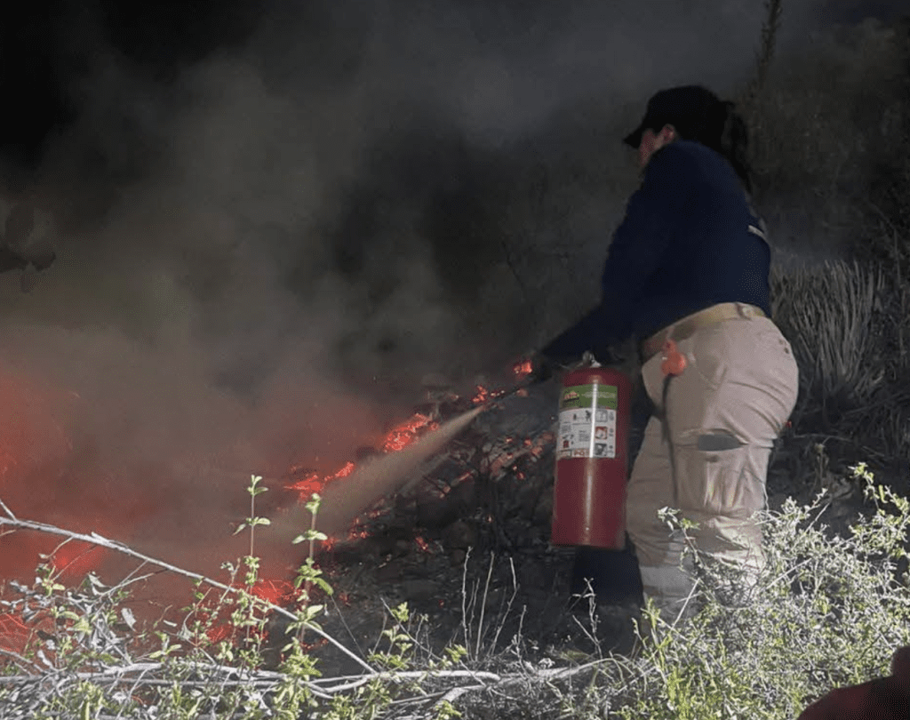 Investigan origen de incendio forestal en el cerro de Cristo Rey en Tochtepec
