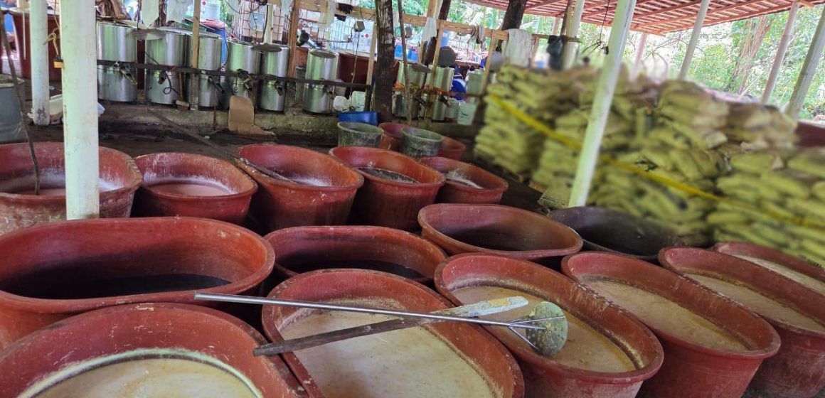 Aseguran 2.5 toneladas de metanfetamina en laboratorio clandestino en Chiapas