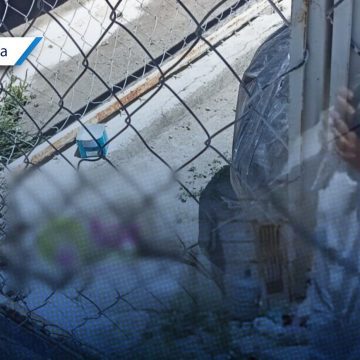 Maltrato animal en Tehuacán: Mujer podría enfrentar hasta 10 años de cárcel por abandono de su perro