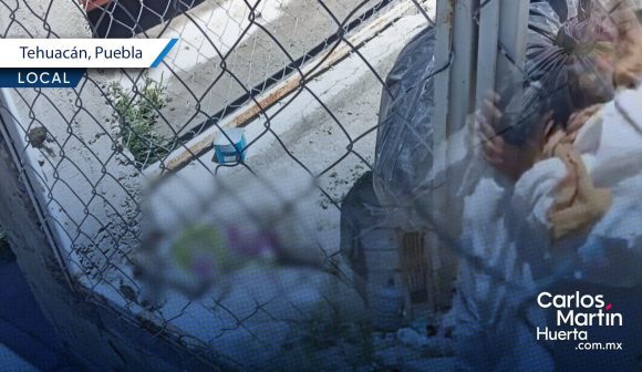 Maltrato animal en Tehuacán: Mujer podría enfrentar hasta 10 años de cárcel por abandono de su perro