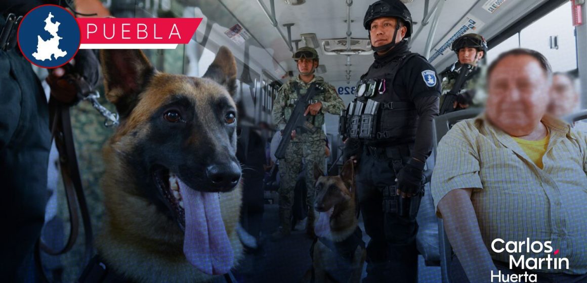 Policía K9 refuerza operativos en la Línea 2 de RUTA para prevenir delitos