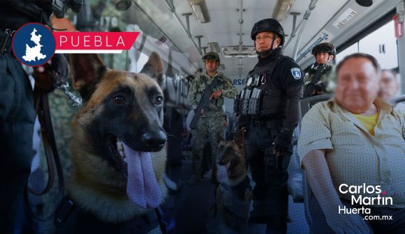 Policía K9 refuerza operativos en la Línea 2 de RUTA para prevenir delitos