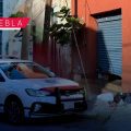 Policía municipal frustra robo a negocio en la avenida Juan de Palafox; hay un detenido