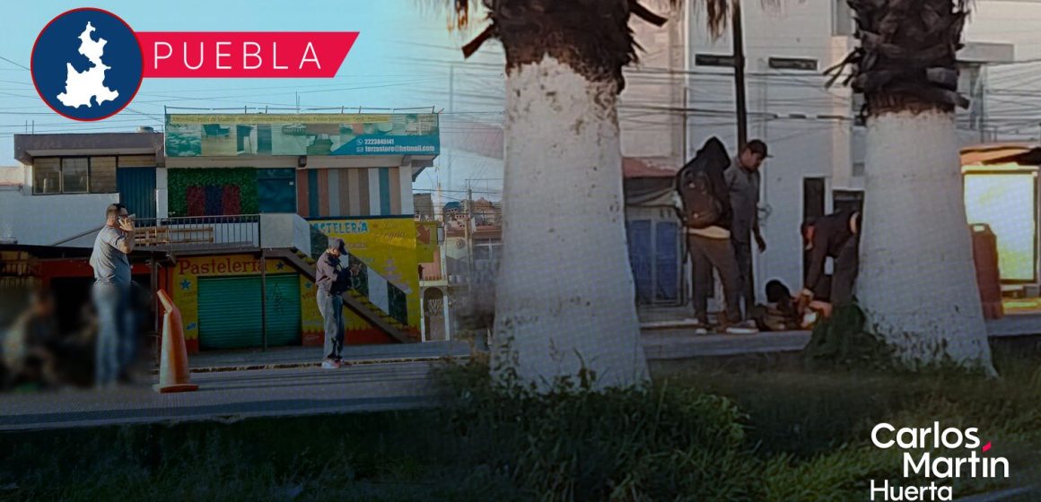 Accidente en la Puebla-Tehuacán: Mujer sufre graves lesiones tras ser embestida por transporte público