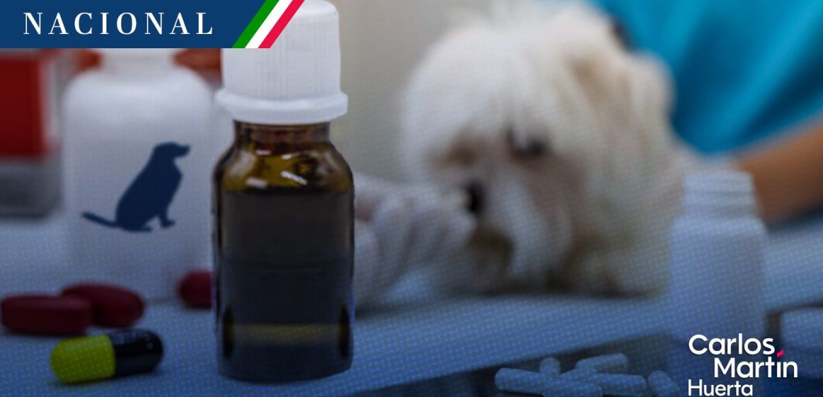 Secretaría de Agricultura alerta por medicamentos de uso animal falsificados