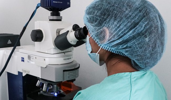Secretaría de Agricultura alerta por medicamentos de uso animal falsificados 2 Secretaria de Agricultura alerta por medicamentos de uso animal falsificados 3