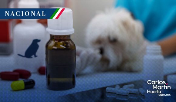Secretaría de Agricultura alerta por medicamentos de uso animal falsificados
