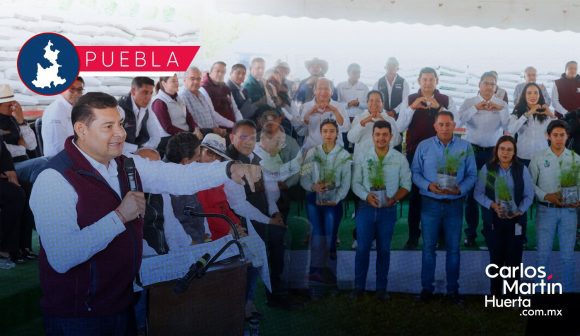 Sembrar vida para cosechar paz: Puebla lanza Plan de Reforestación 2025