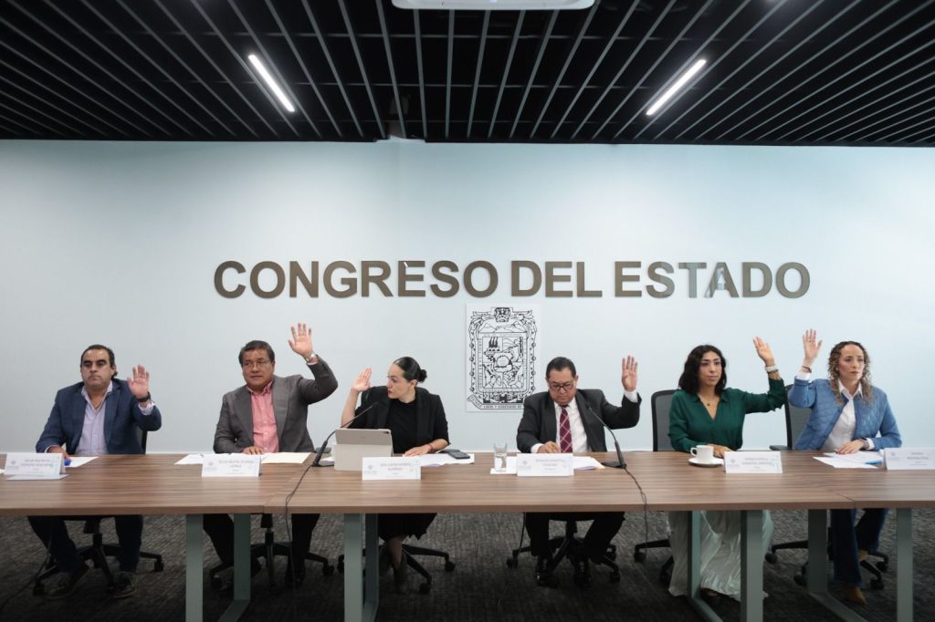 Aprueba Comisión del Congreso exhorto para verificar mercancías extranjeras y cumplimiento laboral 1 WhatsApp Image 2025 08 26 at 6.07.42 PM 1