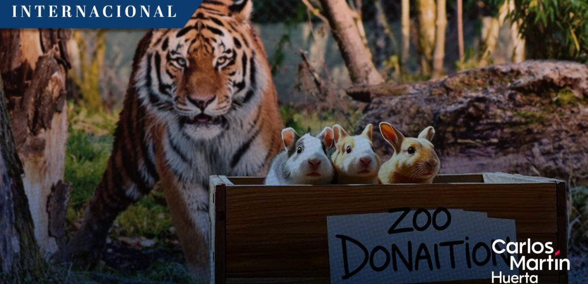 Zoológico de Dinamarca pide donación de mascotas para alimentar a sus depredadores