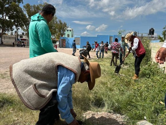 ‘Raíces del Futuro’ lleva más de 1,200 nuevos árboles a zonas de Puebla capital