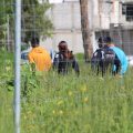 Se aseguran a dos personas por quebrantar sellos de clausura en obra irregular