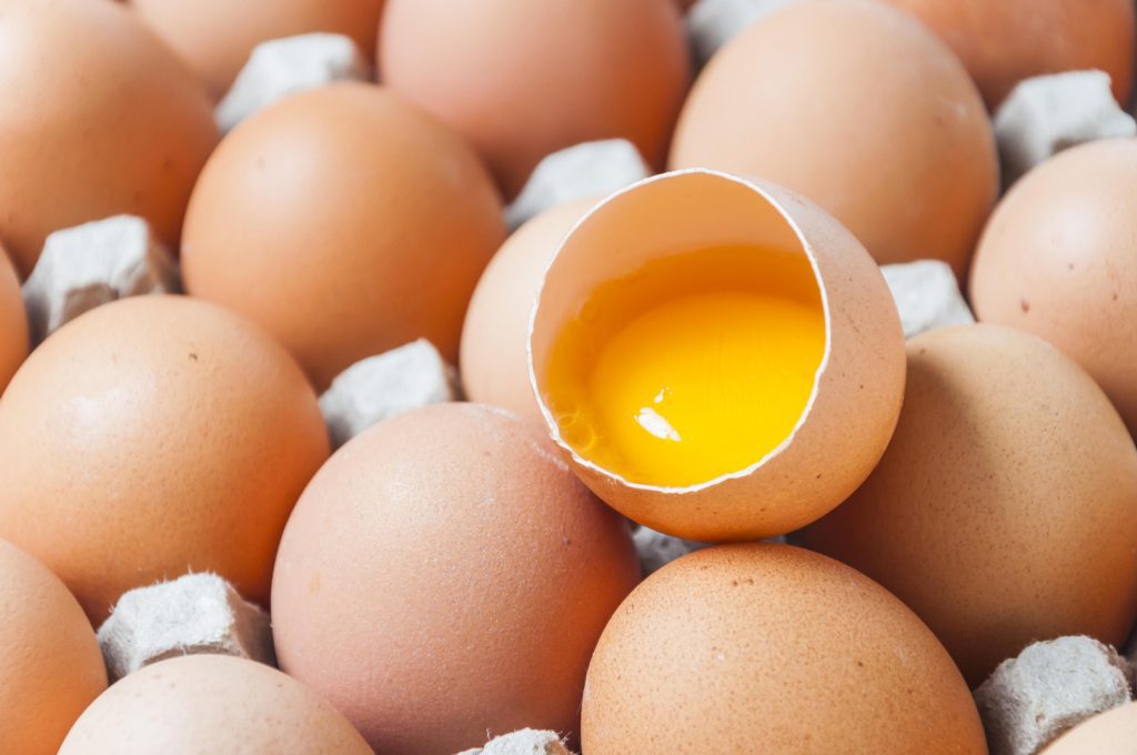 Huevos contaminados con salmonela ponen en riesgo a consumidores en Estados Unidos 1 huevo contamiando 2 1