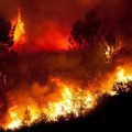Incendios forestales devastan Europa: Ola de calor y sequía agravan la crisis