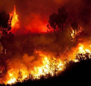 Incendios forestales devastan Europa: Ola de calor y sequía agravan la crisis