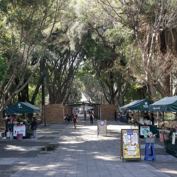 Gobierno del Estado y Ayuntamiento de Puebla anuncian proyecto para revitalizar el Paseo Bravo