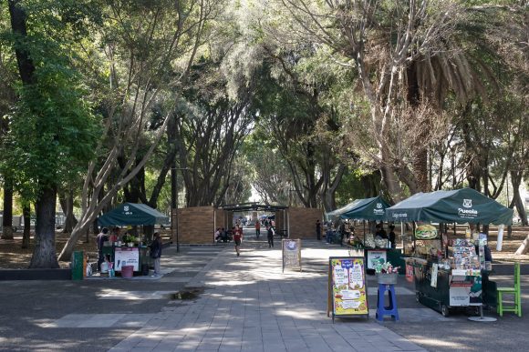 Gobierno del Estado y Ayuntamiento de Puebla anuncian proyecto para revitalizar el Paseo Bravo