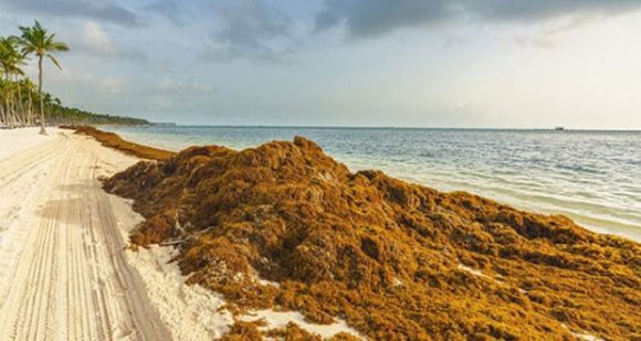 Quintana Roo inaugura primer Centro de Monitoreo Ambiental y de Sargazo en México
