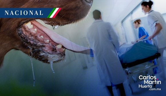 ¡Alerta sanitaria! Fallece hombre por rabia en Colima; es el segundo caso registrado en México en agosto