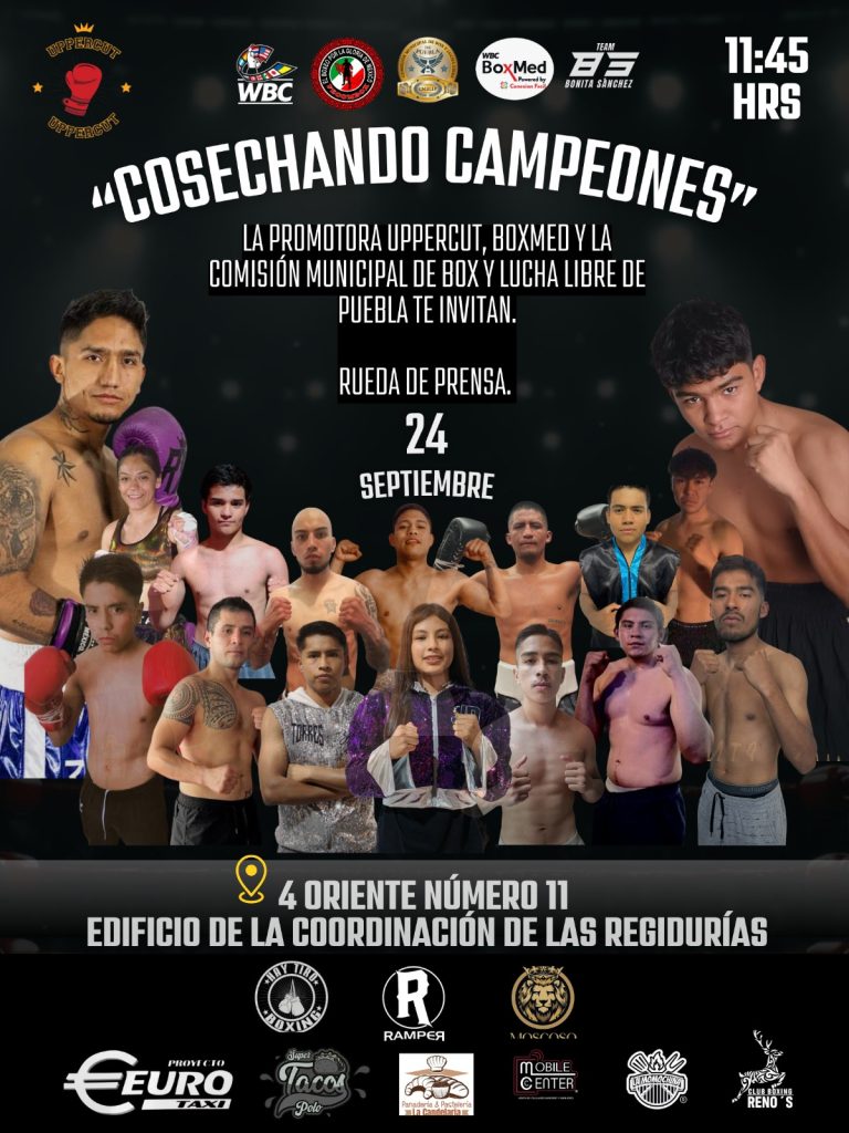 "Cosechando Campeones" llega a Balcones del Sur con 8 combates profesionales de box