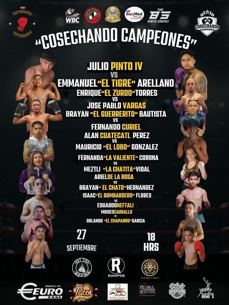 22Cosechando Campeones22 llega a Balcones del Sur con 8 combates profesionales de box 3
