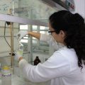 Científicos BUAP: Crecen 30.5% los investigadores de alto nivel en el SNII, proyectan llegar a 1,001 en 2026