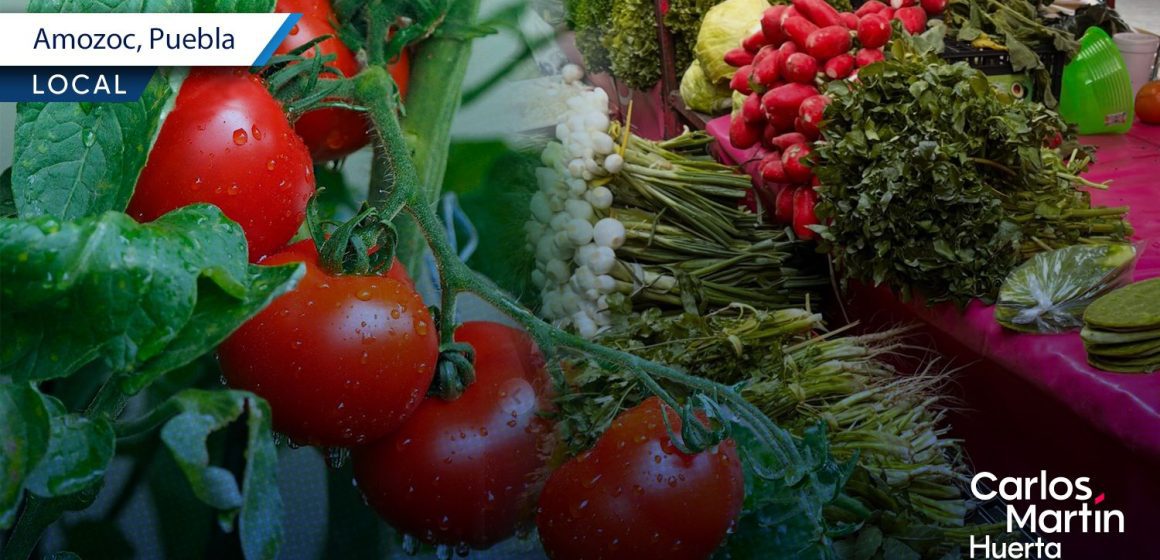 Amozoc presenta el Agrotianguis Regional 2025
