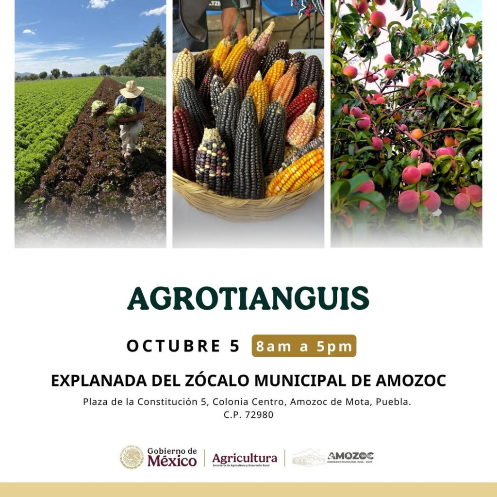 Amozoc presenta el Agrotianguis Regional 2025