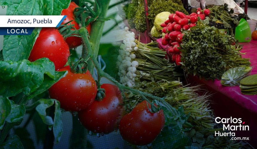 Amozoc presenta el Agrotianguis Regional 2025