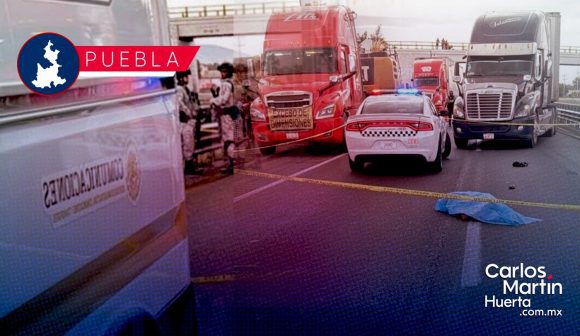 Atropellado Puebla -Orizaba Peatón murió tras ser atropellado en la autopista Puebla-Orizaba