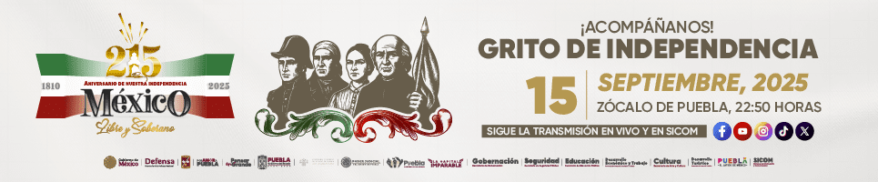 Banners Fiestas Patrias 965 x 200