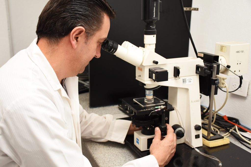 Científicos BUAP: Crecen 30.5% los investigadores de alto nivel en el SNII, proyectan llegar a 1,001 en 2026 1 C BUAP SNI