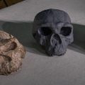 Reconstrucción digital del cráneo Yunxian 2 en China redefine la teoría de la evolución humana