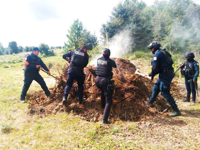 Desmantelan 11 hornos clandestinos en San Miguel Canoa