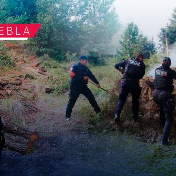 Desmantelan 11 hornos clandestinos en San Miguel Canoa