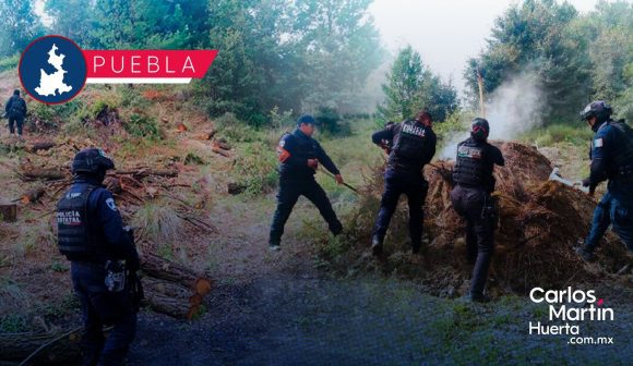 Desmantelan 11 hornos clandestinos en San Miguel Canoa