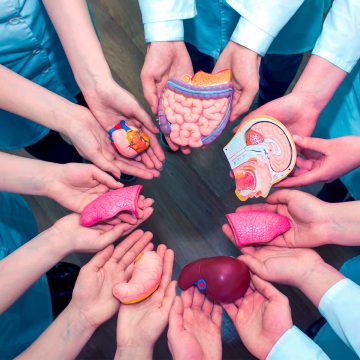 Nueva Ley obliga a Fiscalía y hospitales a reportar muertes para donación de órganos