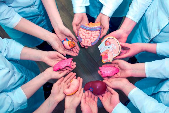 Nueva Ley obliga a Fiscalía y hospitales a reportar muertes para donación de órganos