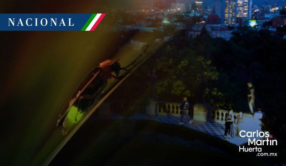 Hallazgo en CDMX: Descubren nueva especie de luciérnaga en Chapultepec