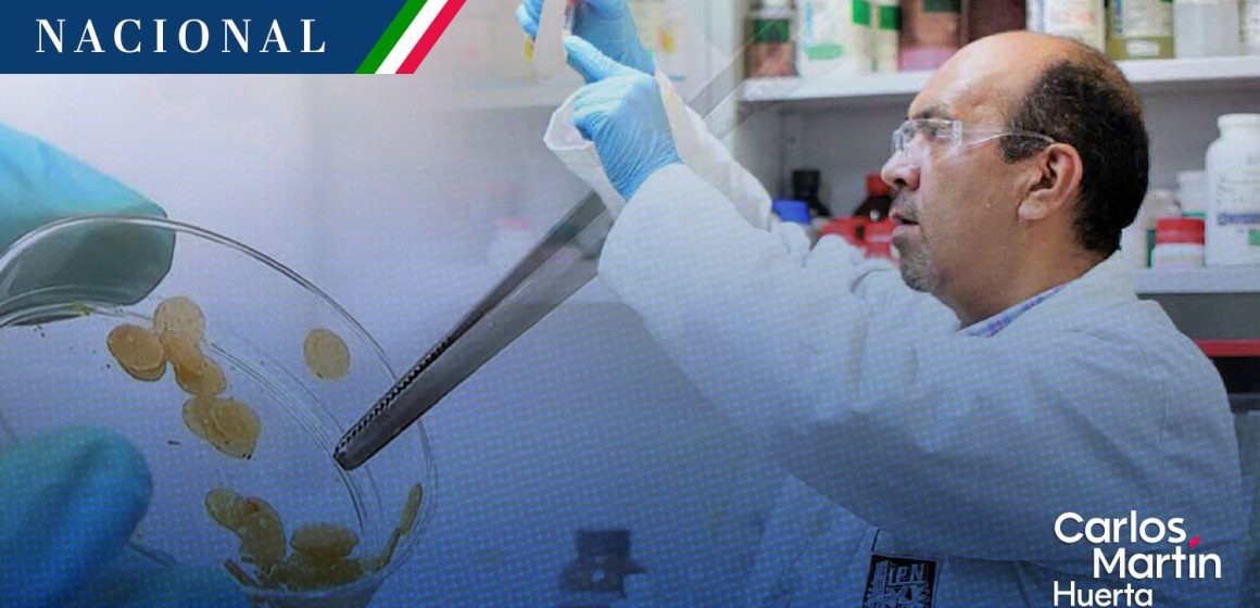IPN desarrolla bioinsecticida para combatir el dengue en su fase larvaria