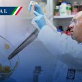 IPN desarrolla bioinsecticida para combatir el dengue en su fase larvaria