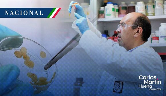 IPN desarrolla bioinsecticida para combatir el dengue en su fase larvaria