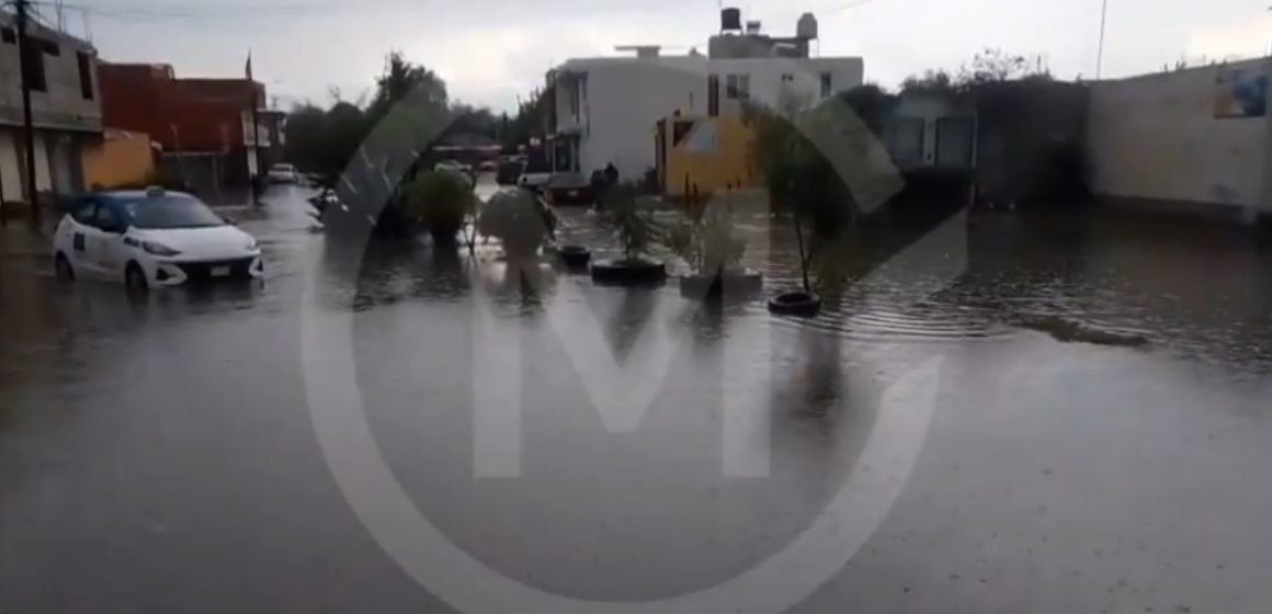 Intensa lluvia causa caída de árboles y afectaciones en zonas de Puebla