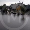 Intensa lluvia causa caída de árboles y afectaciones en zonas de Puebla