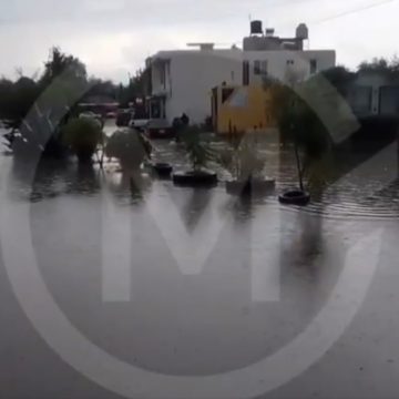 Intensa lluvia causa caída de árboles y afectaciones en zonas de Puebla