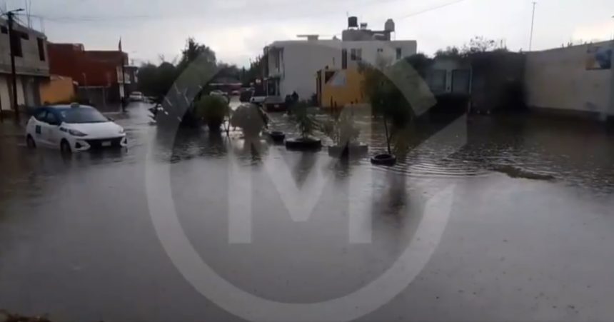 Intensa lluvia causa caída de árboles y afectaciones en zonas de Puebla