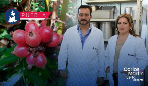 Investigadores BUAP generan pigmentos naturales para sustituir colorantes sintéticos