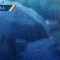 Lluvias intensas en gran parte del país por monzón mexicano y frente frío
